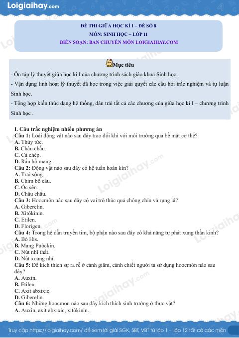 Đề thi giữa kì 1 Sinh 11 Kết nối tri thức - Đề số 8